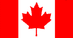 加拿大个人商务签证